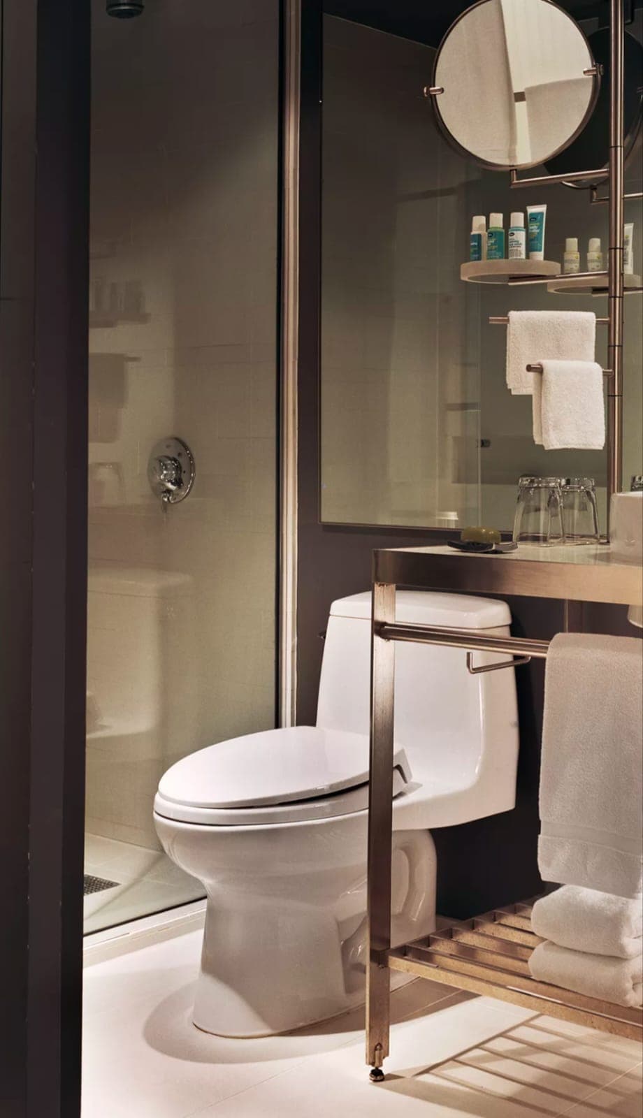 Expert Toilet Installation and Repair