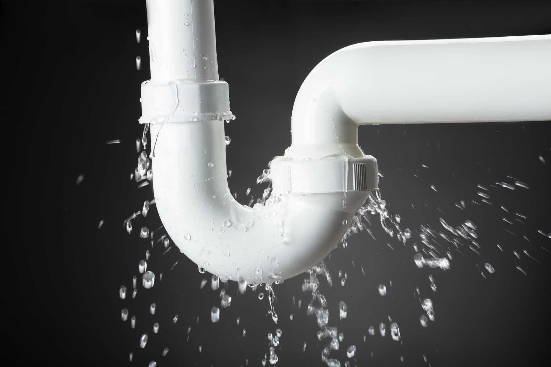 Professional pipe and leak repair service