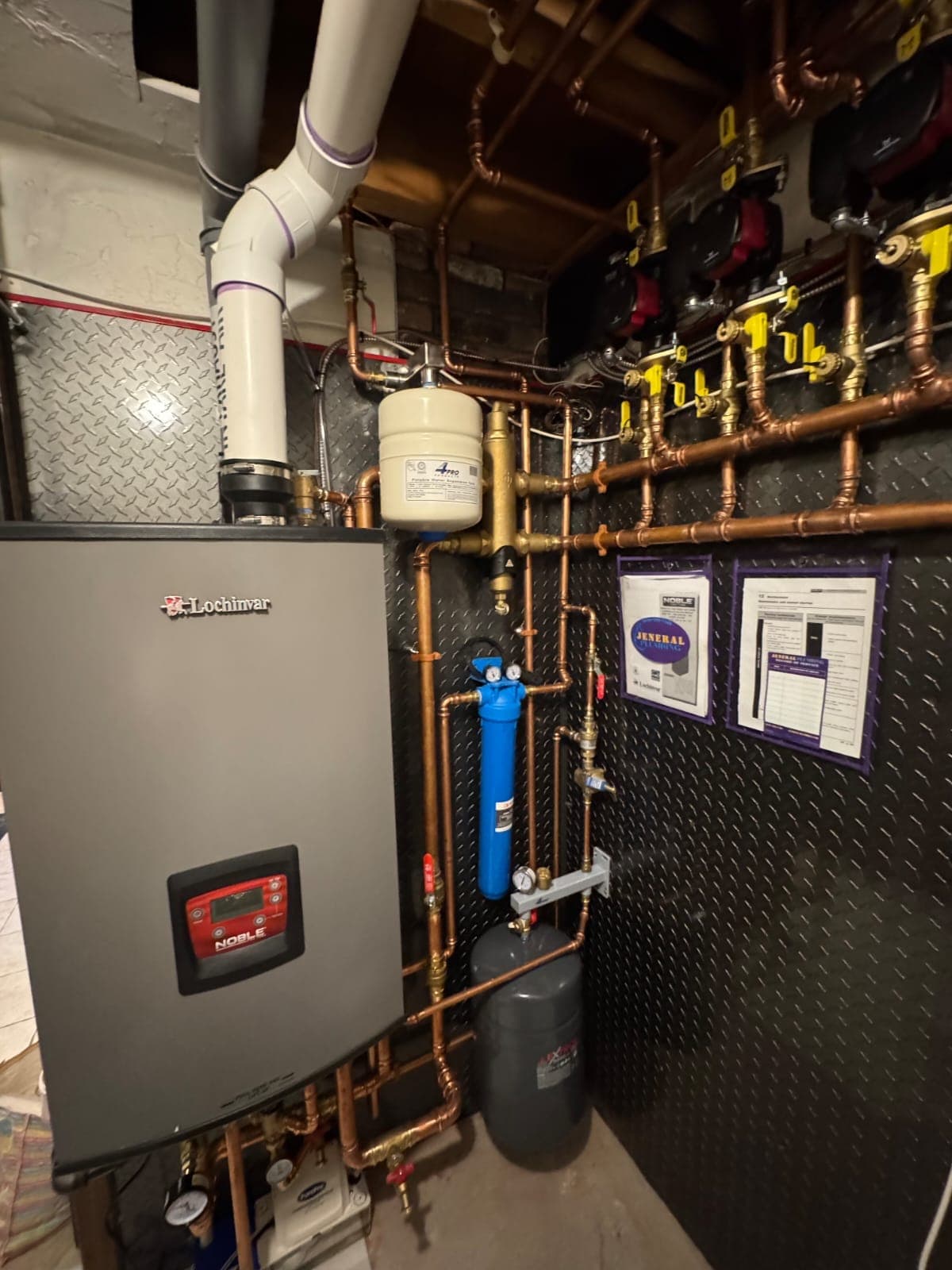 Lochinvar hydronic heating equipment with copper piping, circulators, and expansion control