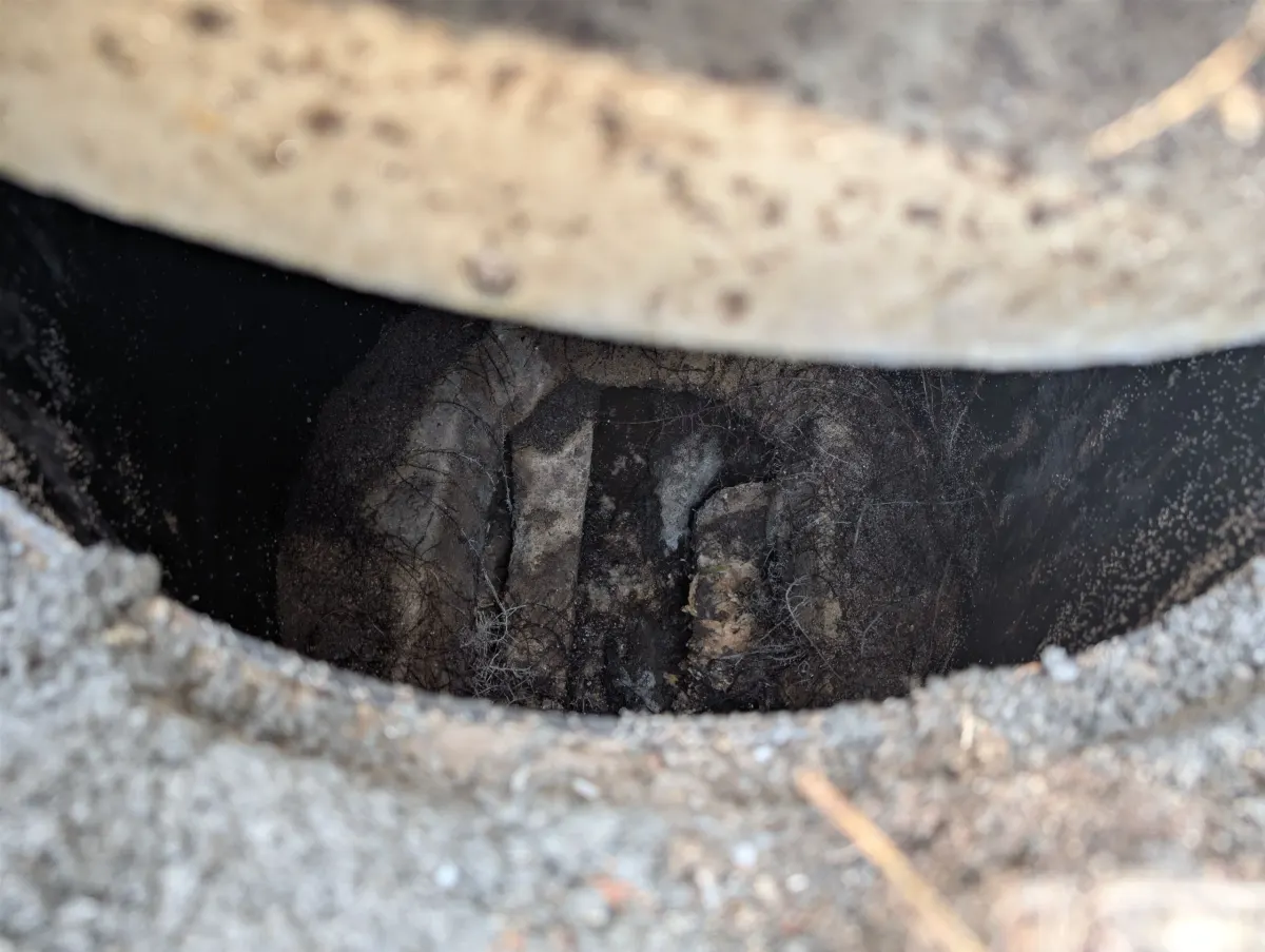 View down an opened drain access point, with dark debris and hair-like buildup visible inside the pipe